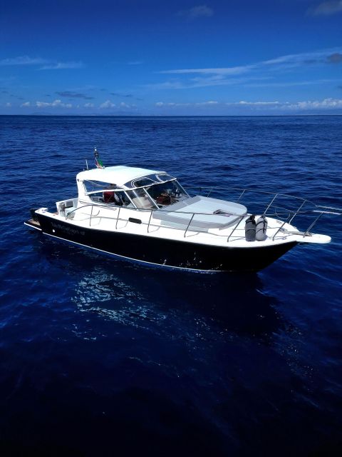 Capri: private boat tour with visit to the caves - The Faraglioni, Capri’s Famous Rock Towers