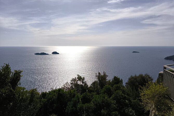 Car Tour admiring Capri and visiting Positano - Nerano, Li Galli, and the local plate to order