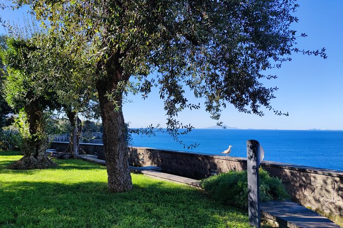 Car Tour admiring Capri and visiting Positano - The return along Sorrento’s western views