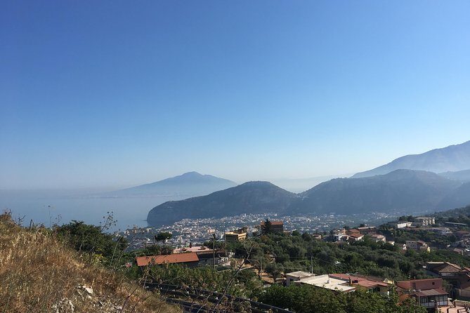 Classic Amalfi Coast Tour - Drivers, flexibility, and the private-tour advantage