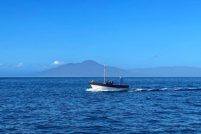 Complete Private Guided Two Hour Tour of the Coast of Capri - Grotta Verde and the changing sea color