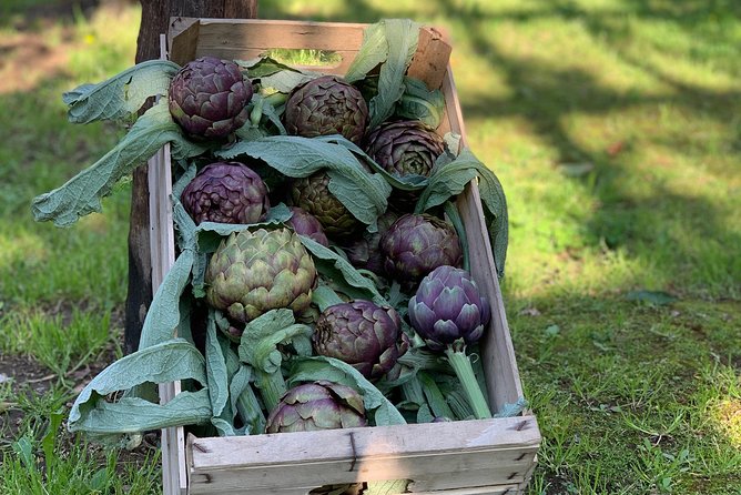 Cook and Eat in a Citrus Grove in Sorrento - Timing, access, and the details that matter