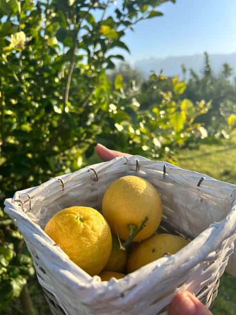 Cooking Class w/Italian Mamma from Pompei! - Key points to know before booking