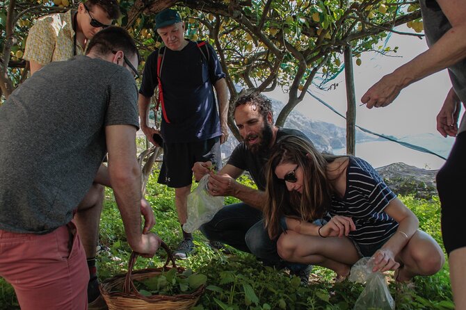 Cooking Class with garden visit - What you may cook and eat