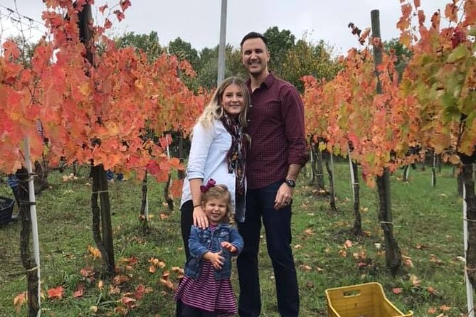 Cortecorbo Irpinia-wines: tour of the vineyards- Cooking class- wine tasting - The family welcome is part of the experience