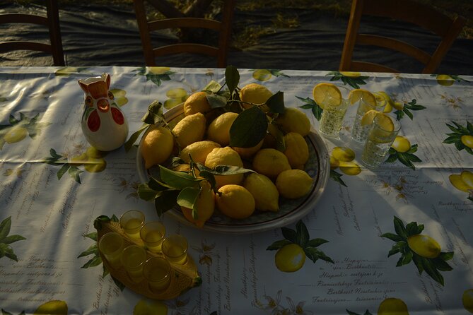 Discovery Tour of Sorrento Lemon in Massa Lubrense - Key points to know before booking