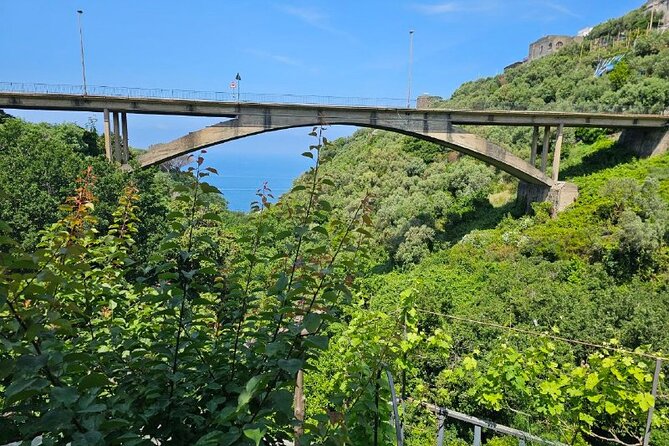 E-Bike Tour in the Sorrento Peninsula and Visit to Acetaia - Is $95.31 a fair price?