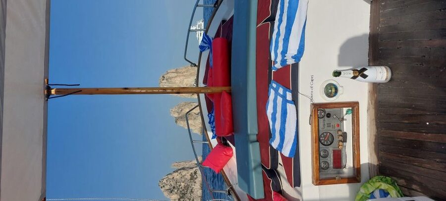 Esperienza Privata a Capri in Barca con Gozzo Classico 3H - Punta Carena and the Western Edge of Capri