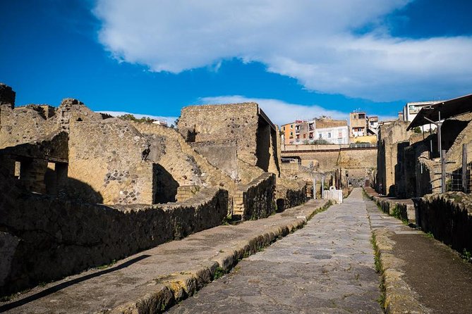 Exclusive Pompeii with Wine and Lunch on Vesuvius-Skip-the-line - Premium Plus and the Villa of the Mysteries
