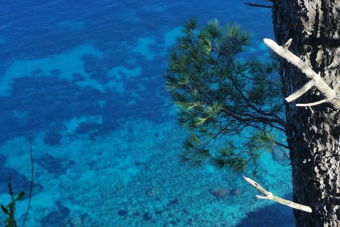 Exclusive Private Boat Tour to capri & Amalfi coast from Sorrento - Drinks, snacks, and what is included