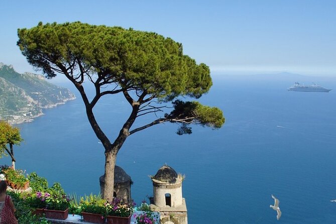 Exclusive Private VIP Capri Boat Experience on a Gozzo - Who will enjoy this private Capri cruise?