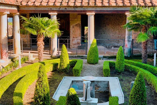 Explore Pompei Ruins with your Private Archaeologist - Walking Pompeii with a private archaeologist