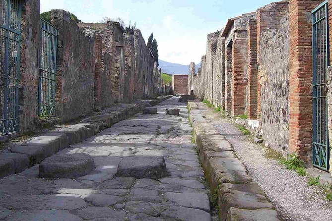 Explore Pompeii: 2-Hour Guided Walking Tour with Included Ticket - Who Should Book This Pompeii Tour