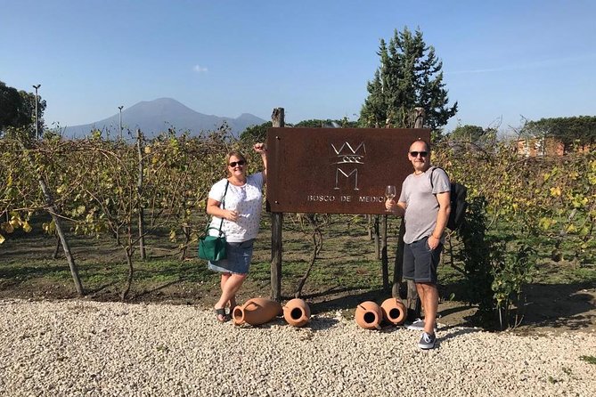 Explore Pompeii: Private Tour, Wine Tasting & Lunch - What the private transfer adds