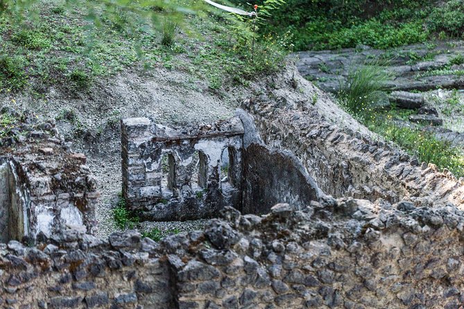 Explore Pompeii: Private Tour, Wine Tasting & Lunch - Meeting your guide near Porta Marina