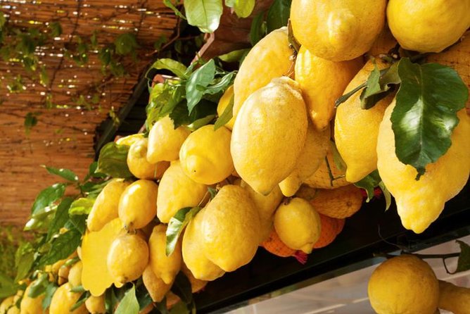 Farm-to-Table Experience: Olive Oil, Garden Tour & Nonna’s Lunch - The grandma lunch is the heart of the visit