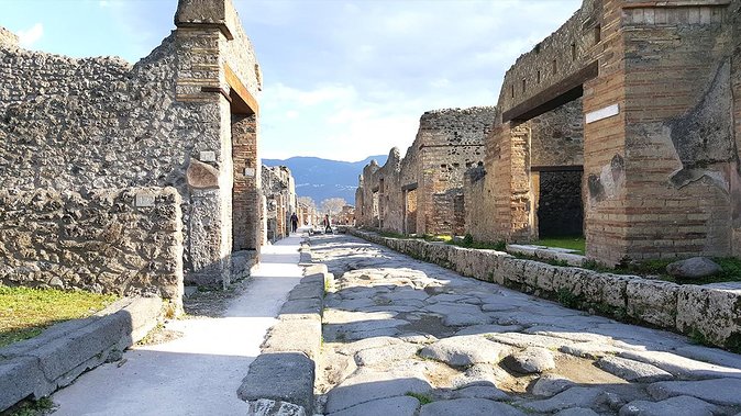 Fast Access Exclusive Private Ancient Pompeii Half Day Tour with Local Guide - What the guide adds to the ruins