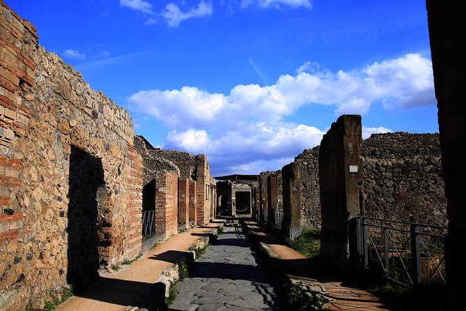 Fast Access Exclusive Private Ancient Pompeii Herculaneum & Oplontis Guided Tour - Pompeii in two hours, with the major landmarks