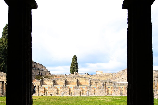 Fast Access Exclusive Private Ancient Pompeii Herculaneum & Oplontis Guided Tour - What the private guide changes