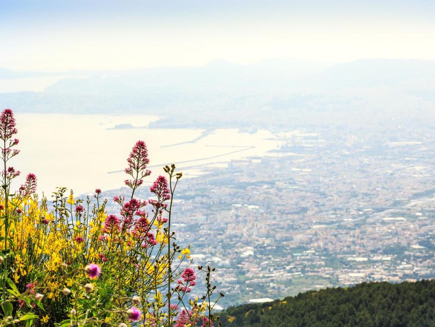 From Castellammare di Stabia Combo Tour_Pompeii & Vesuvius - What the ratings suggest about the service