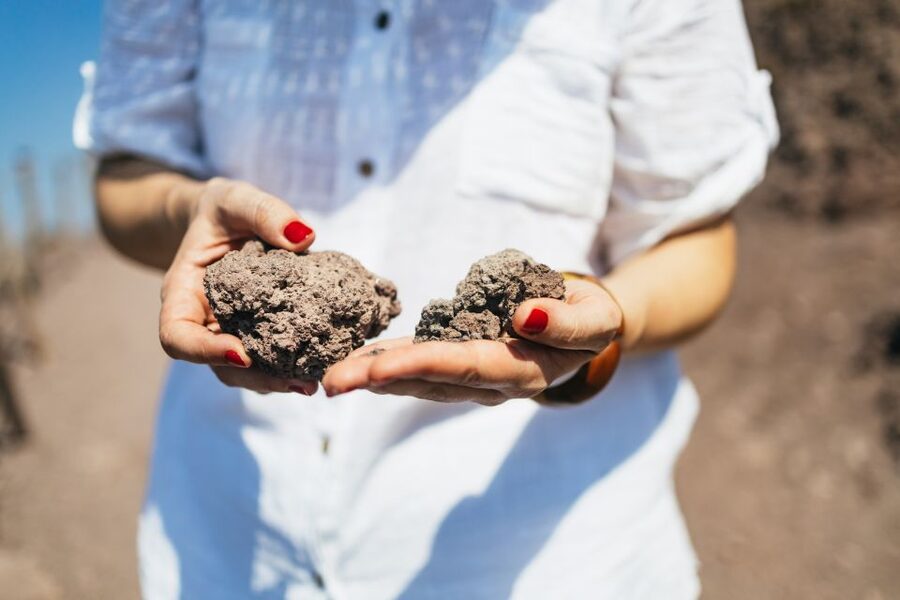 From Naples: All-Inclusive Mount Vesuvius Half-Day Tour - Who will enjoy this Vesuvius trip?