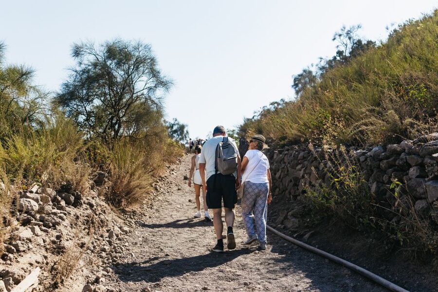 From Naples: All-Inclusive Mount Vesuvius Half-Day Tour - How much time will you really have?