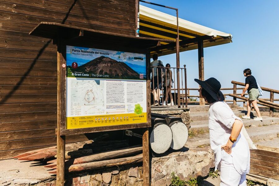 From Naples: All-Inclusive Mount Vesuvius Half-Day Tour - What the all-inclusive price really covers