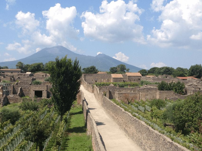 From Naples: Pompeii Ruins VIP Guided Tour - Key points to know before booking