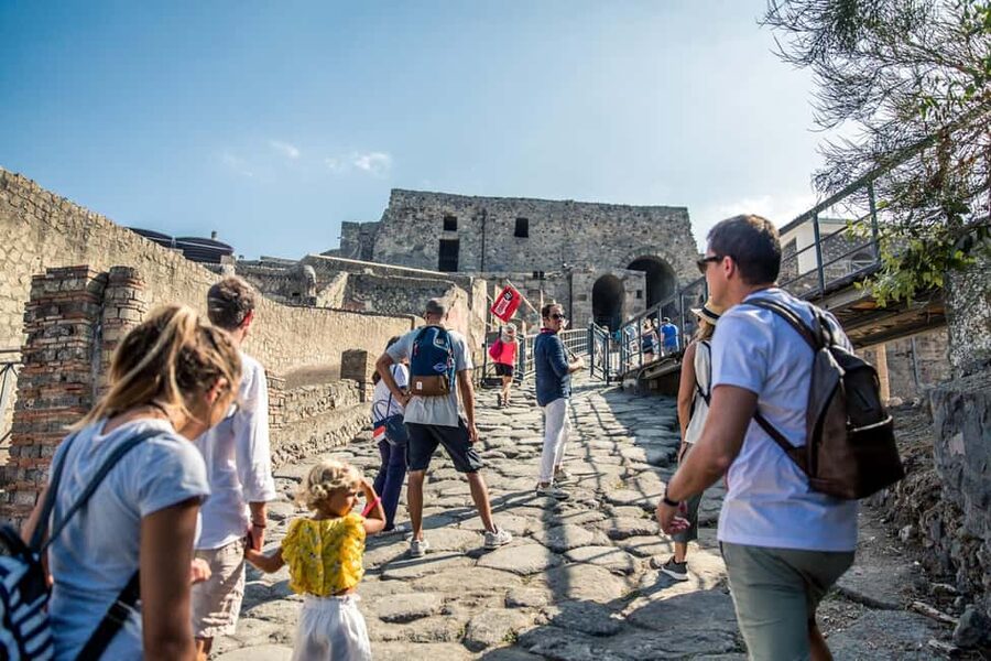 From Naples: Pompeii Skip-the-Line Guided Tour - House of the Faun and the Alexander Mosaic