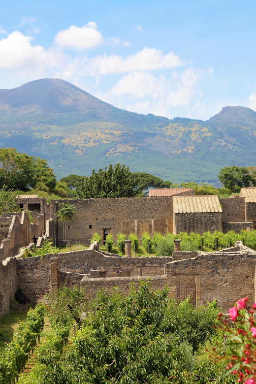 From Naples Port:Pompeii+Vesuvius tour - Should You Book the Pompeii and Vesuvius Combination?