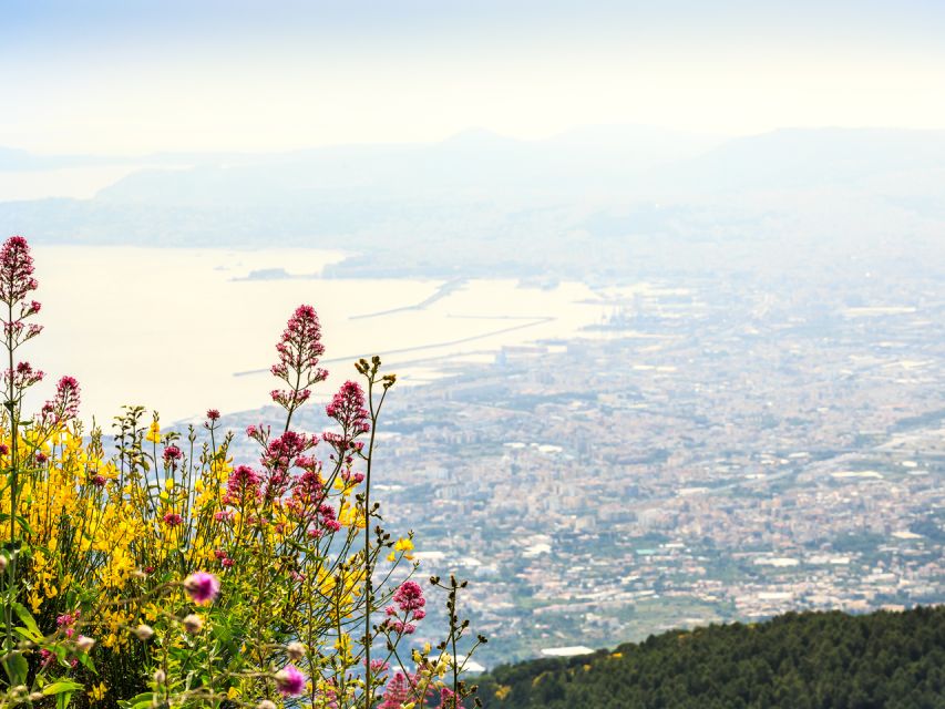 From Naples: Vesuvius & Pompeii with Transfer & Audio Guide - The 45-minute ride from the volcano to Pompeii