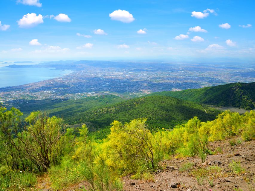 From Pompeii: Bus Transfer to Vesuvius with Park Entry Fee - Key points at a glance