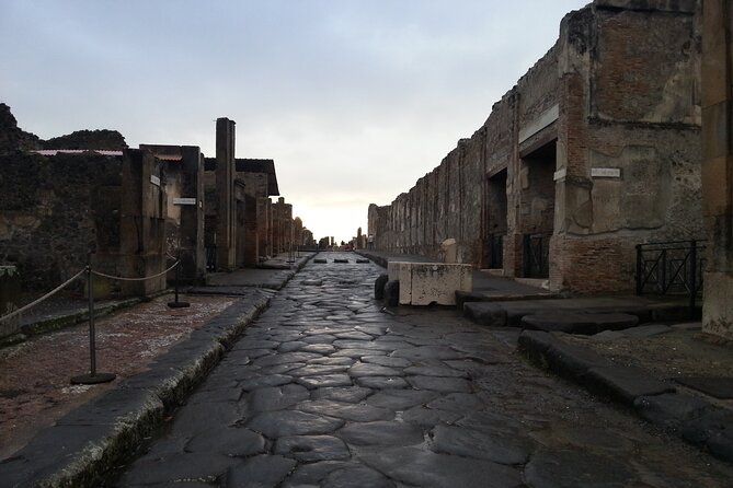 From Pompeii: Day Tour of Pompeii and Vesuvius with Bus Transfer - What you see, and what you miss, at Pompeii