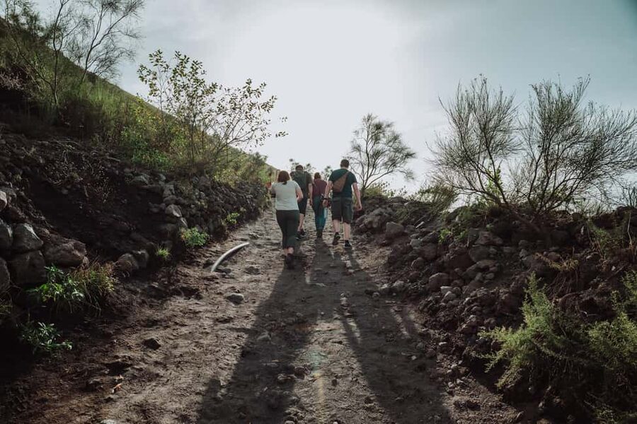From Pompeii: Mount Vesuvius Guided Tour with Transfer - Guides such as Mario add more than directions