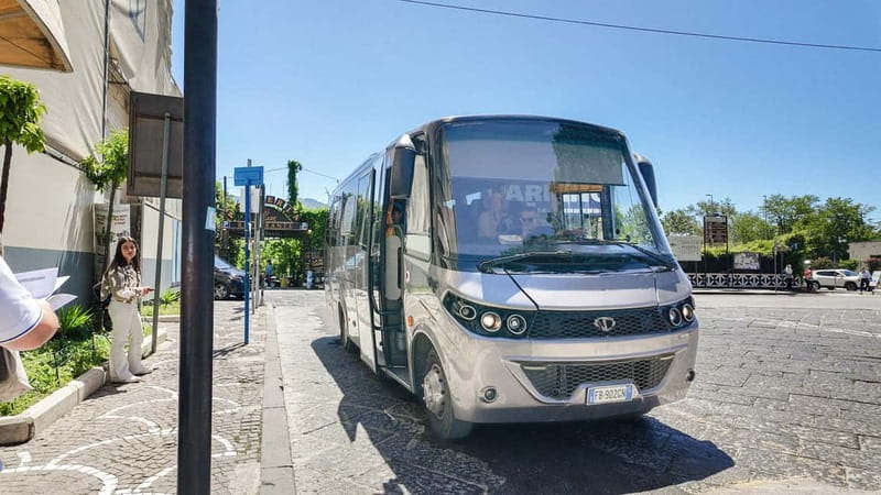 From Pompeii: Mount Vesuvius with bus, ticket and audioguide - The 45-minute ride toward Mount Vesuvius