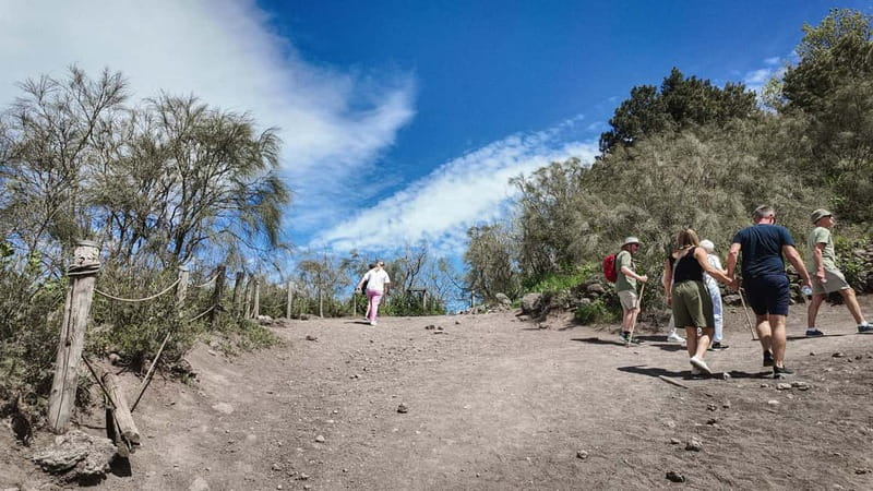 From Pompeii: Mount Vesuvius with bus, ticket and audioguide - About 110 minutes at Vesuvius National Park