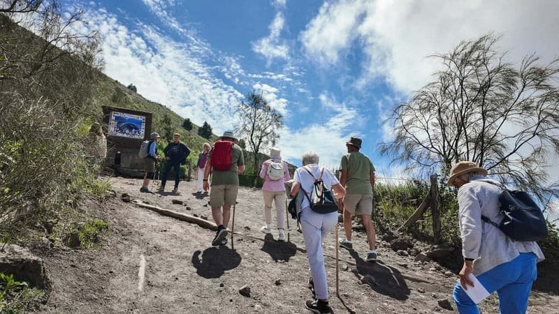 From Pompeii: Mount Vesuvius with bus, ticket and audioguide - Choosing the entrance ticket option