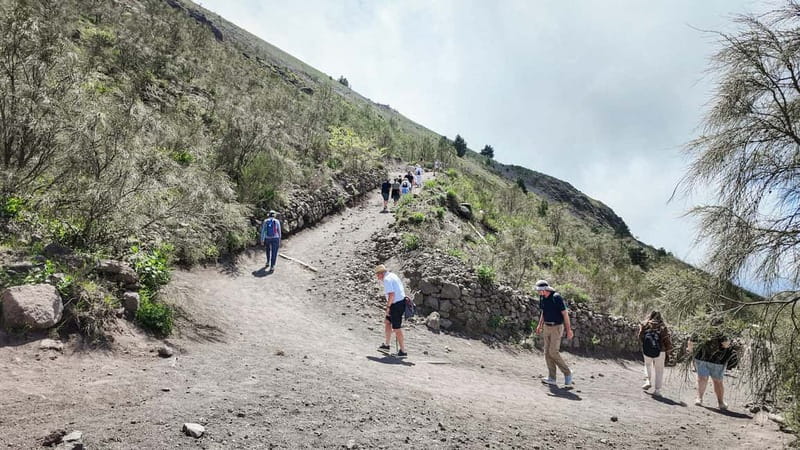 From Pompeii: Mount Vesuvius with bus, ticket and audioguide - What the $39 price delivers