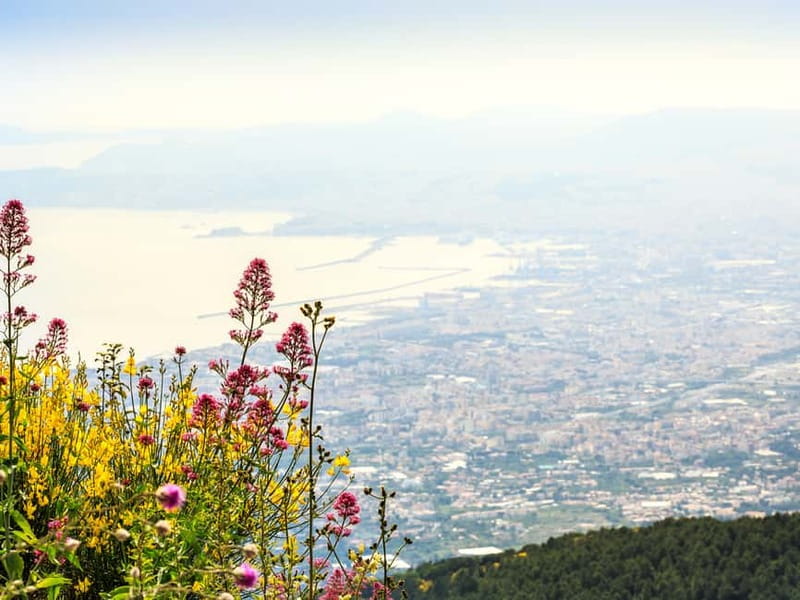From Pompeii: Mt. Vesuvius Hike & Tour by Bus - Key points to know before you book