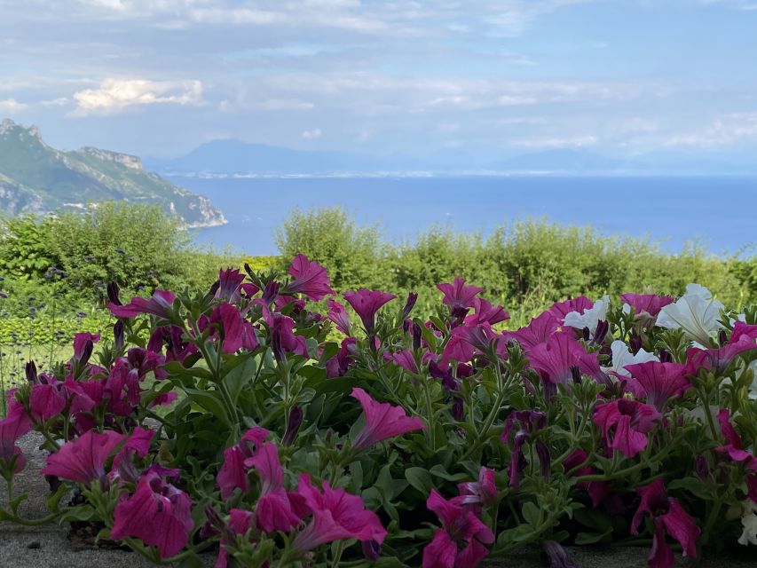 From Positano: Amalfi and Ravello Private Day Trip - Who should book this outing?