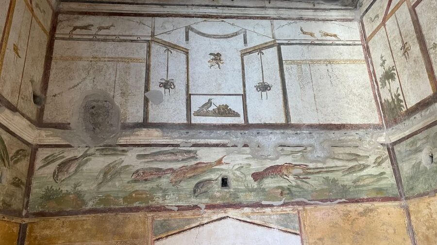 From Positano: Pompeii & Vesuvius tour small group - Climbing the Gran Cone path on Vesuvius