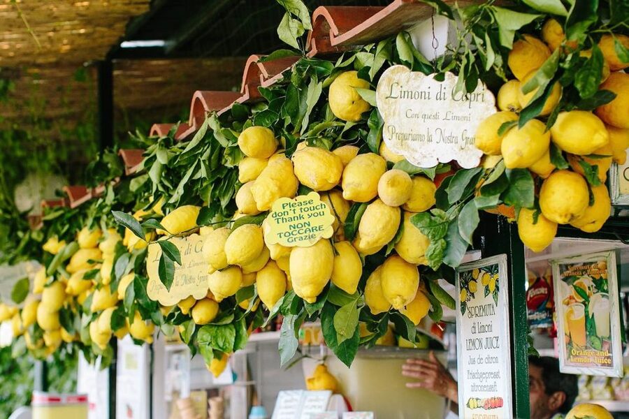 From Positano: Sorrento Coast & Capri Full-Day Trip by Boat - Is the $174.46 price good value?