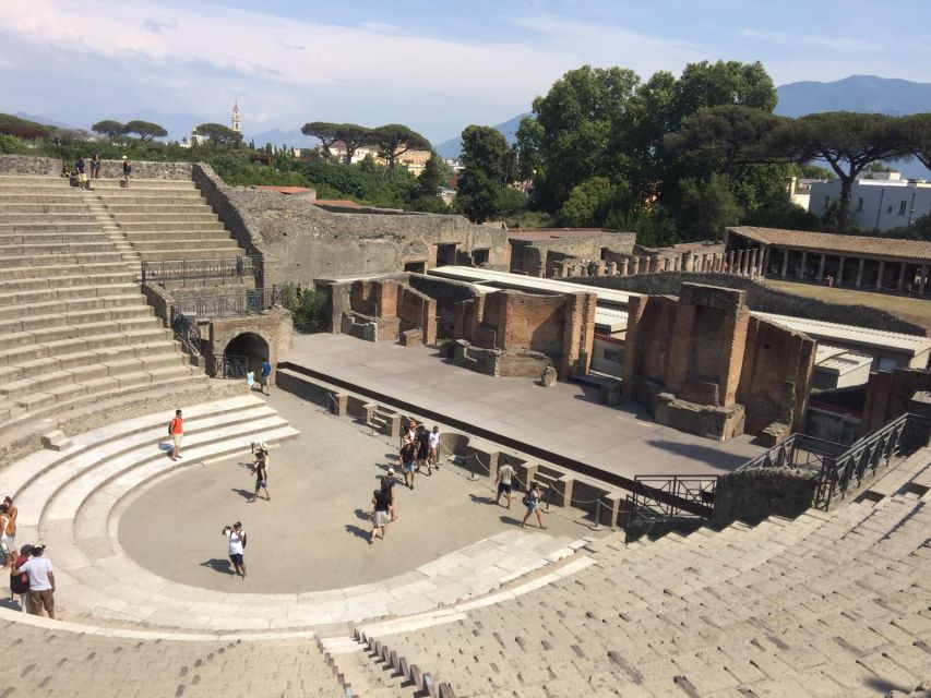 From Salerno: Pompeii Guided Walking Tour - Key points to know before booking
