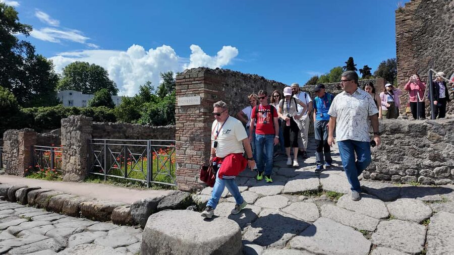 From Salerno: Pompeii Guided Walking Tour with Ticket - What the $71 price includes