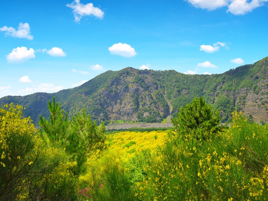 From Salerno: Vesuvius & Pompeii with audioguide - Returning to Salerno without another connection