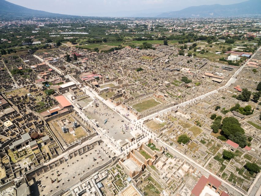 From Salerno: Vesuvius & Pompeii with audioguide - How much walking and waiting should you expect?