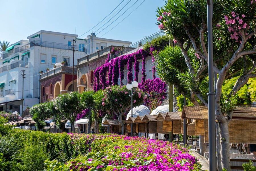 From Sorrento: Capri, Anacapri, & Blue Grotto Full-Day Trip - Who will enjoy this Capri day trip