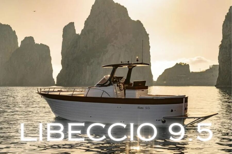 From Sorrento: Capri and Amalfi Coast Private Boat Tour - Timing, reliability, and what to pack
