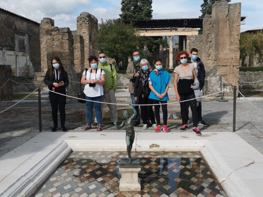 From Sorrento: Day Tour to Pompeii Ruins and Mount Vesuvius - Key points to know before booking