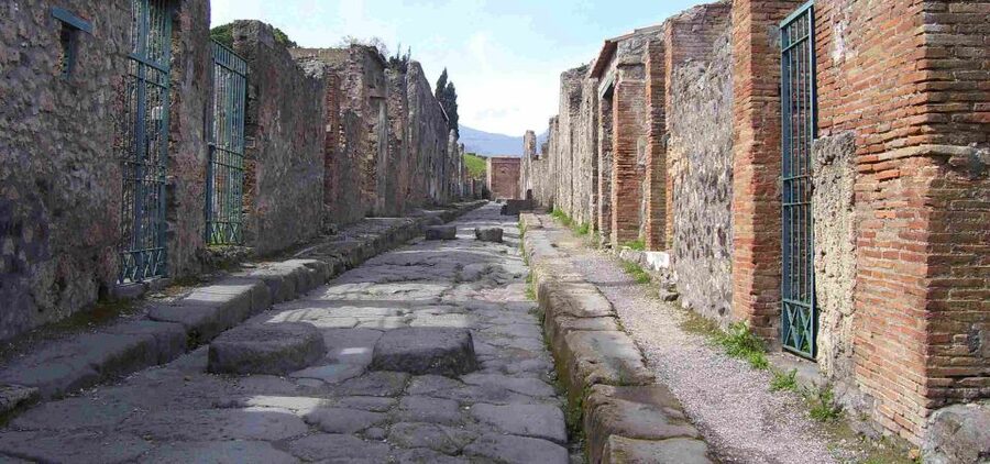 From Sorrento: Day Tour to Pompeii Ruins and Mount Vesuvius - Who should book this tour?